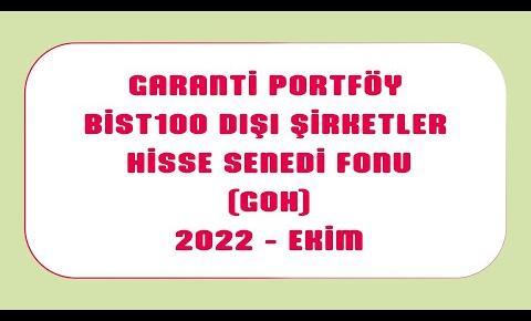 Garanti Portföy’ün GOH kodlu BIST 100 Dışı Hisse Senedi Fonu Ekim Portföy Dağılım İncelemesi #GarantiBankası #garanti Haberleri