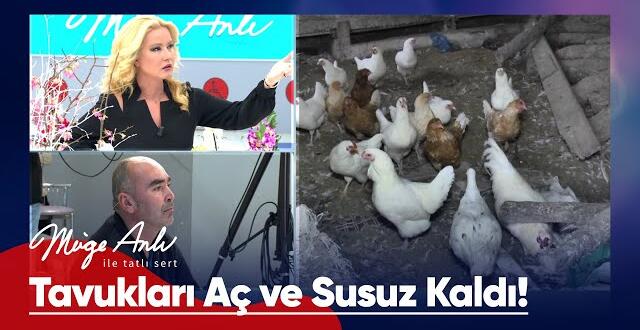 Sinan Sardoğan’ın evinden canlı yayın! – Müge Anlı ile Tatlı Sert 5 Ocak 2023 #mügeanlı